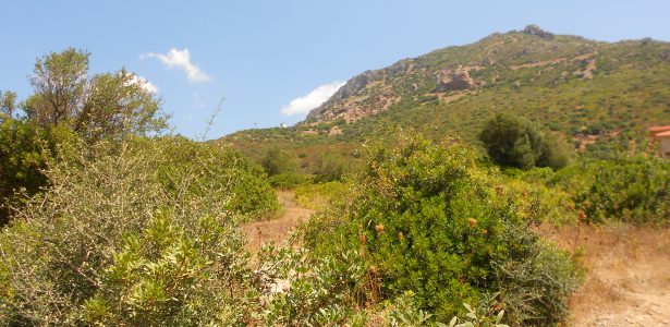Gonnesa – Terreno Agricolo mq. 22.000