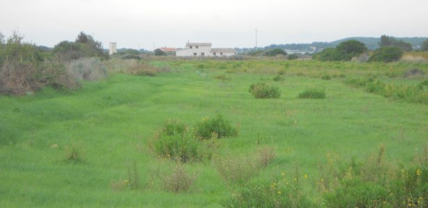 Sant’Anna Arresi – Terreno Agricolo mq. 20.829