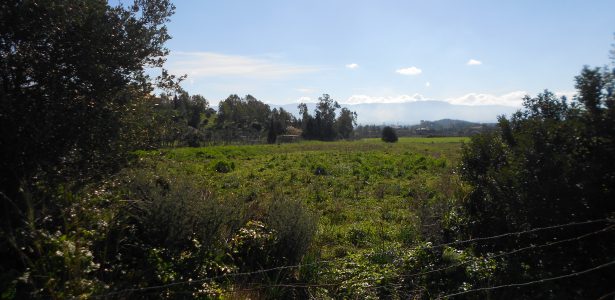 Iglesias – Terreno Agricolo Località Funtana Marzu mq. 10.000