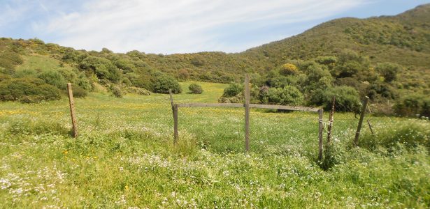 Fluminimaggiore – Terreno Agricolo Ottima Posizione mq. 15.760