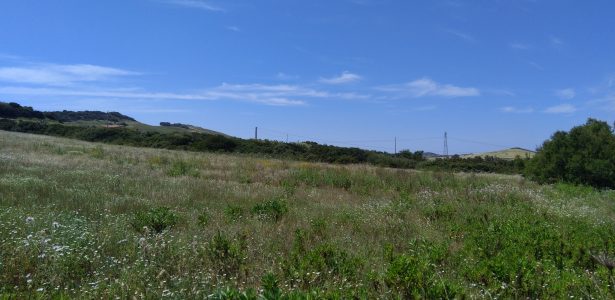 Gonnesa – Terreno Agricolo Località Murecci mq. 17120