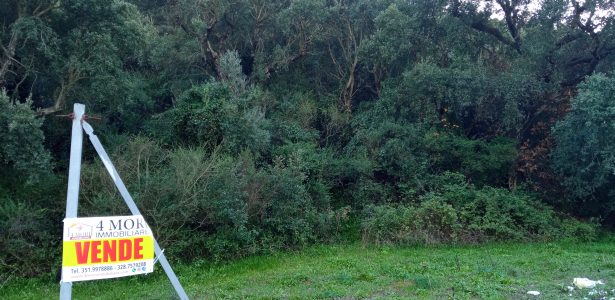 Iglesias – Terreno Agricolo Località Bingiargia mq. 30.000