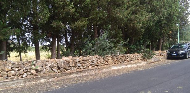 Nuxis – Lotto Edificabile Loc. S’Acquacallenti Zona “B” mq. 2900