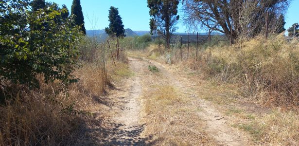 Villamassargia – Terreno Agricolo Località Tuerra Manna mq. 2115