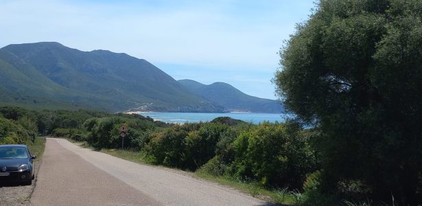 Fluminimaggiore – Terreno Agricolo Località Portixeddu mq. 24.400